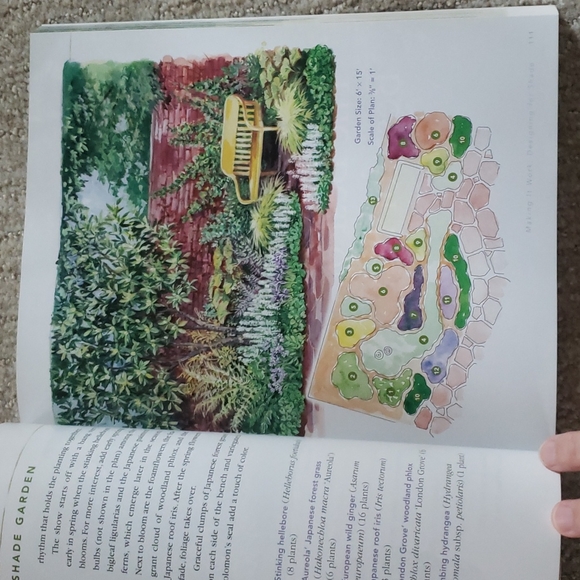 Book - Picture 4 of 4